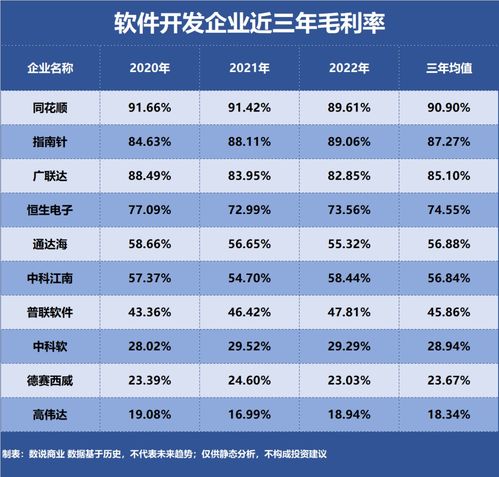 軟件開發領域 誰是盈利能力最強的企業？